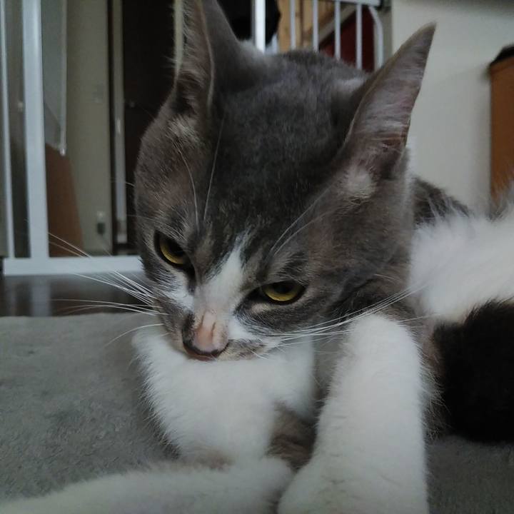 F2617c2d 3870 4e47 a5da bddcf045f763 1593297889731