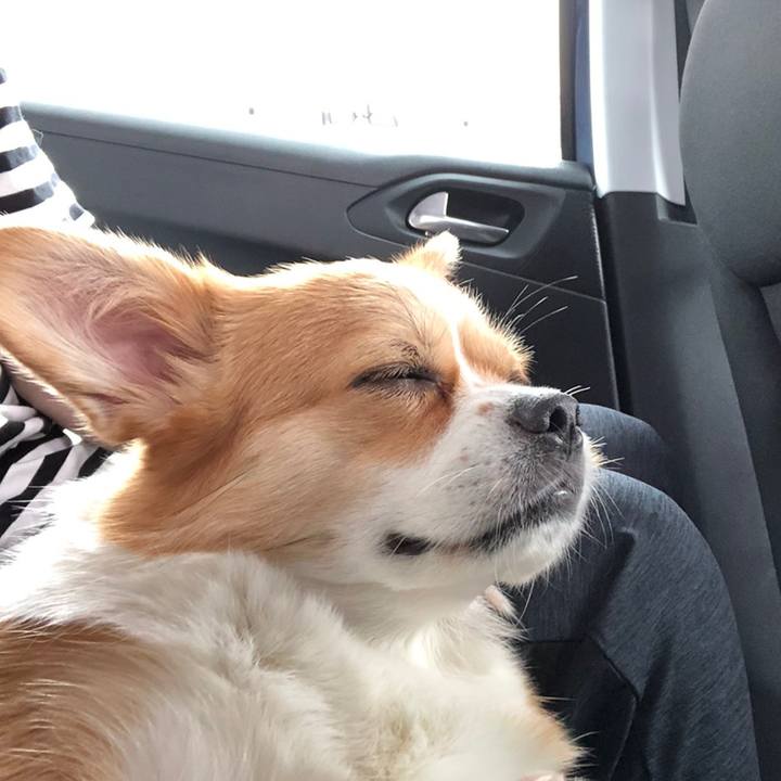 F261ad73 50eb 46c9 992c 41704f046e72 1595128609768