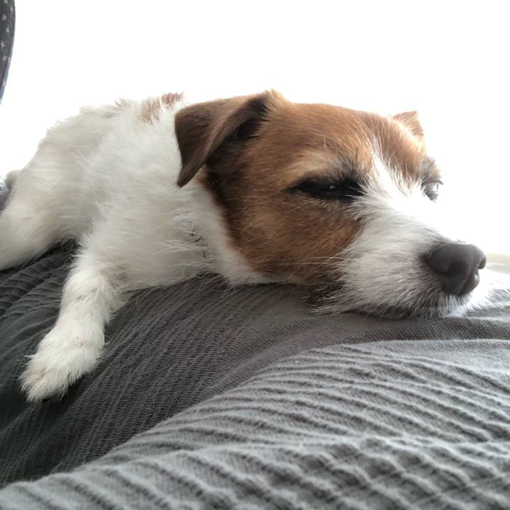 F261b0fb 03c8 4aa0 8f06 1f2b1294ea04 1588116266927