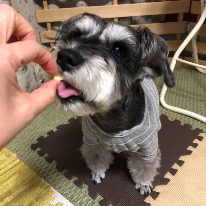 F261bdcf 43f4 498a ab44 105db1e264bb 1668177079549