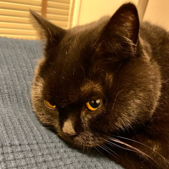 F261c4f2 9fa6 4e66 9cb6 7866655fabe4 1667742379934