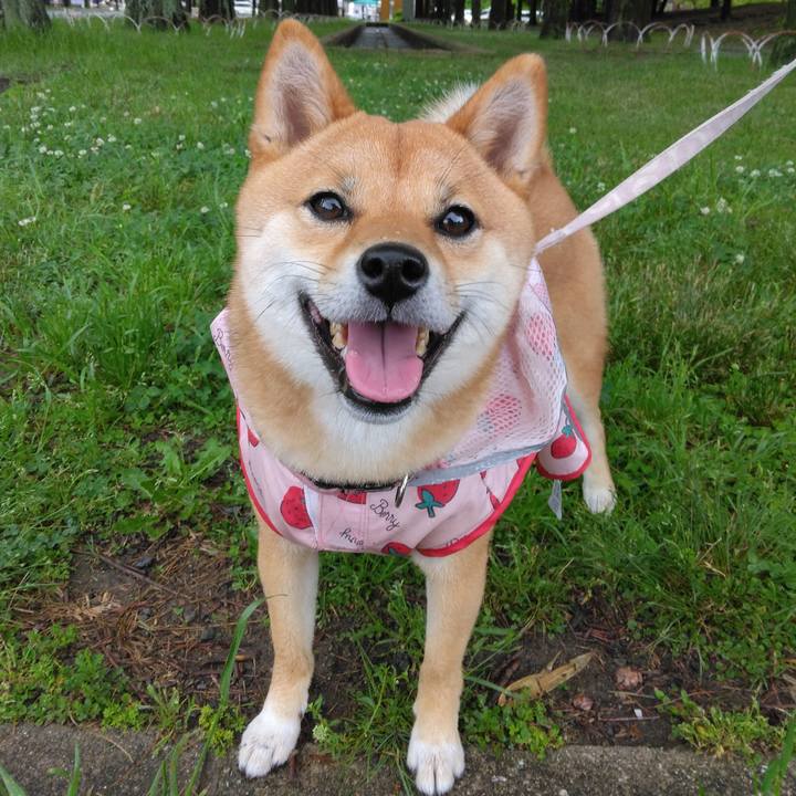 F261cef1 db8a 4baa 85e2 d38fbe9840d5 1763214606257