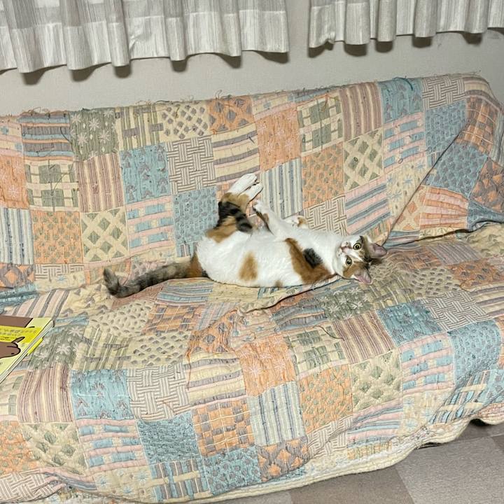 F261fa28 d99f 4522 b2e8 2e157e53b33d 1661688997404