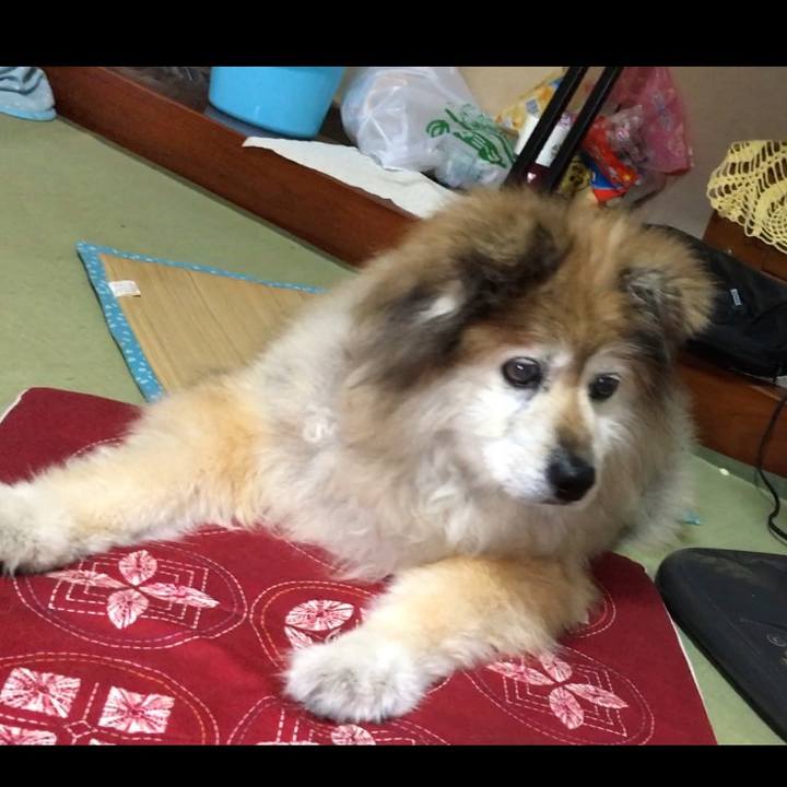 F2620185 370d 4793 acf3 f8c51c308bbe 1644420059254