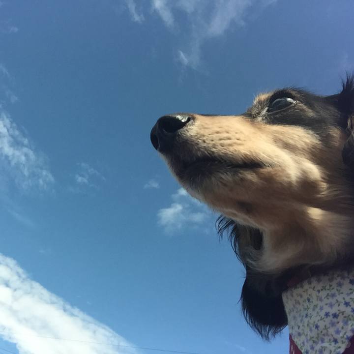 F26222b5 28b3 4f54 b745 08785ecf74fa 1535937622583