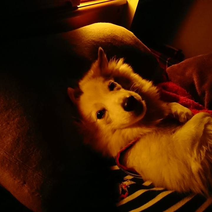 F26231cd 5461 4dc2 9f7e 3c91d17ca658 1513973034383