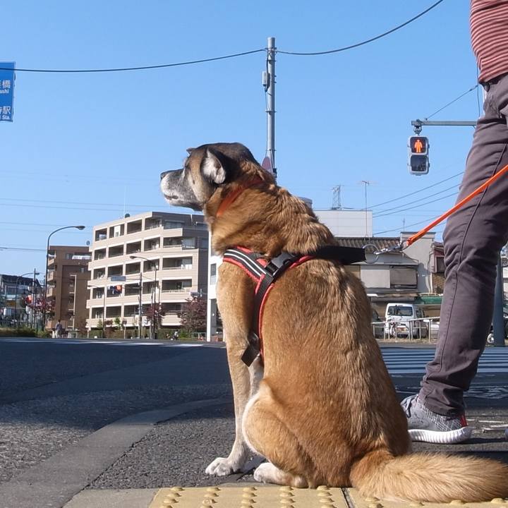 F2623344 2049 441c a32f 91d720ce41bc 1593338393426