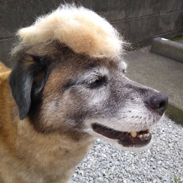 F26235aa 4bd3 456b 8f33 3653e994a7d3 1673313581225