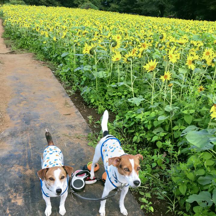 F26296a9 472b 48c5 8e25 b91047062c2b 1761812714568