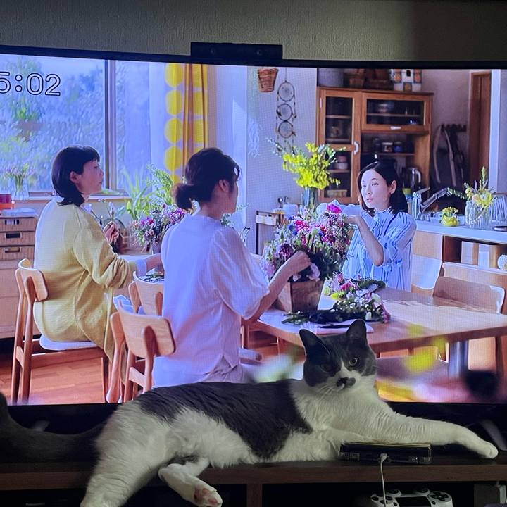 F262a668 60e7 4b5c b313 35183f5dd0da 1649750780918