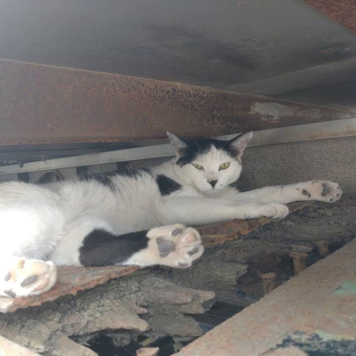 F262d23c dcbc 4bae 9fd4 6e2caba3aa1d 1754353634765