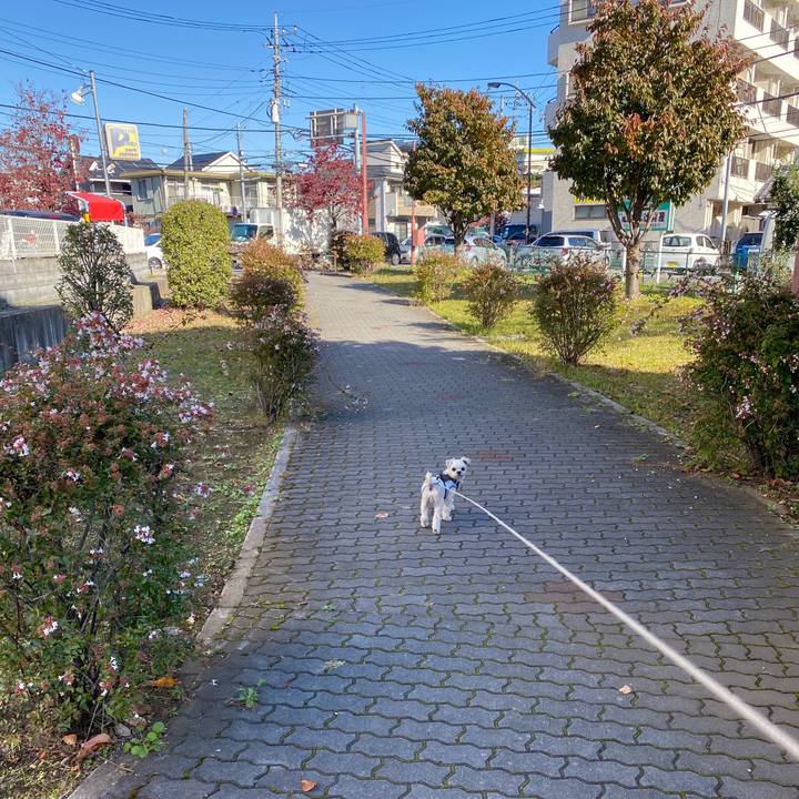 F262dc9c ac93 4ca2 8d56 df5bdbb7f1d1 1573870122613