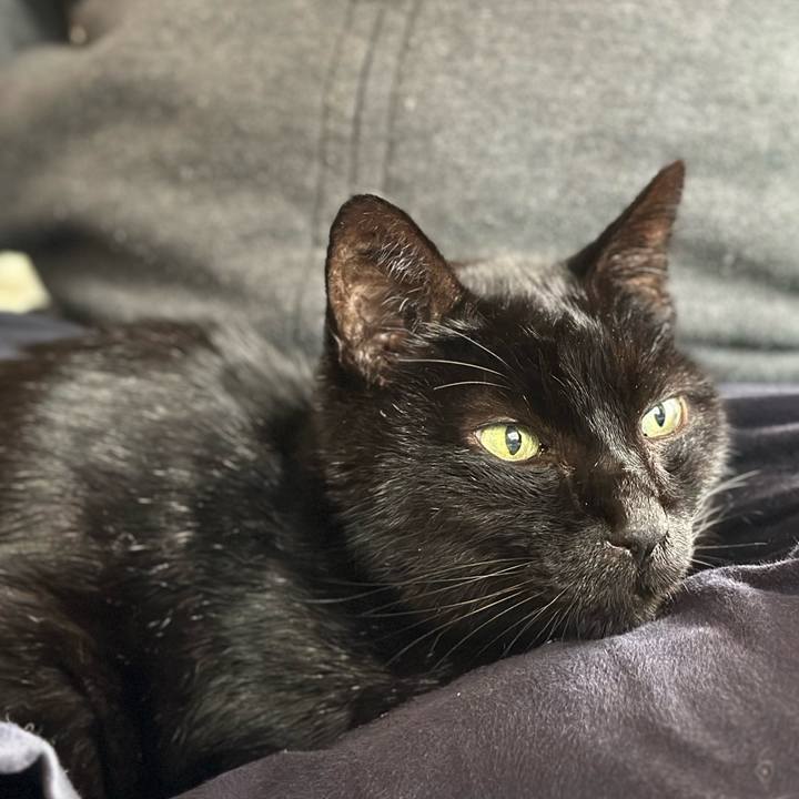 F2630565 e372 4ad2 b756 af46a97c5311 1702951188271