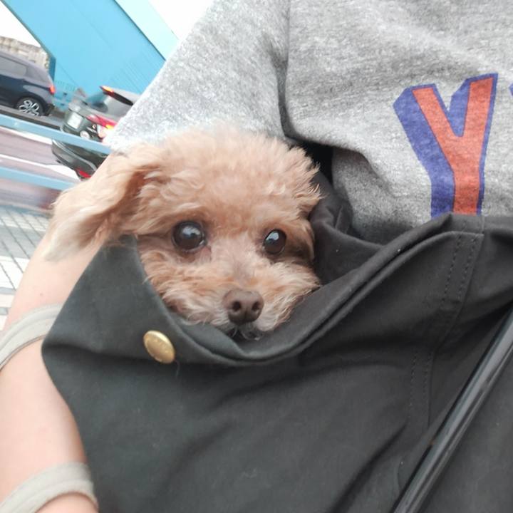 F2630a63 6e5d 4a2f 8934 512ffa28edf4 1629070228455