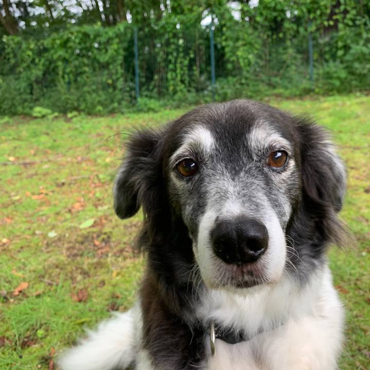 F2631380 e504 4696 92a3 4b1156f5c8b6 1565678238217