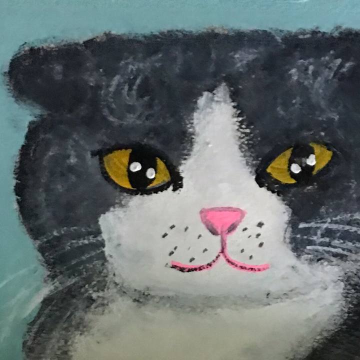 F26337a9 82b9 4851 802c ea7e995a1a05 1553419190158