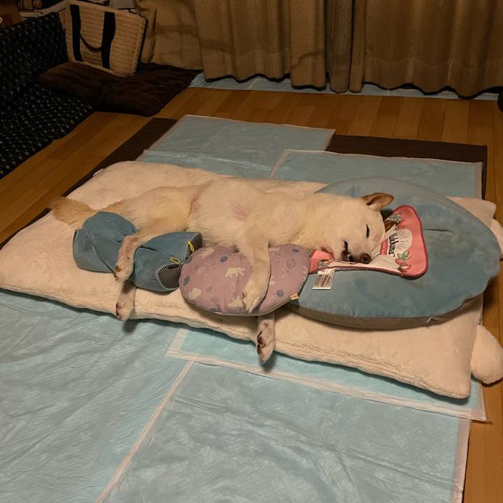 F2636d77 6816 49b7 b57d 546b715ffc44 1662319806887