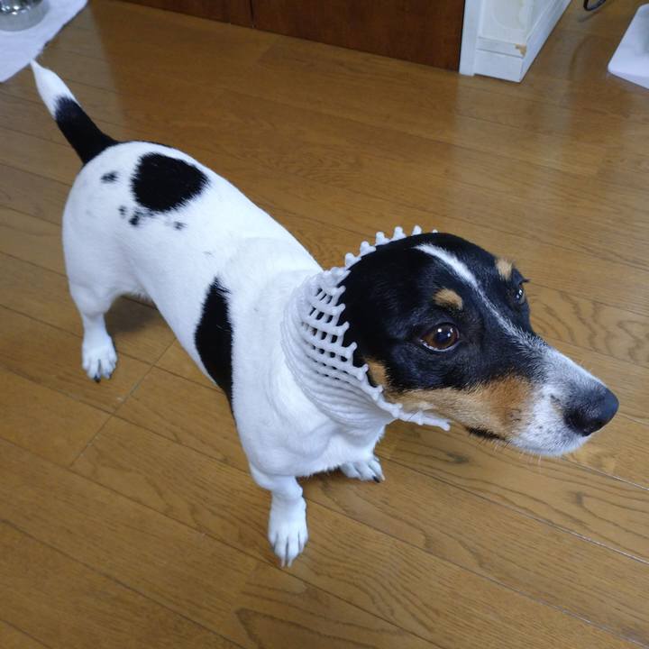 F263ddac fda4 49fa bfeb 291ccad1acfe 1606274570087