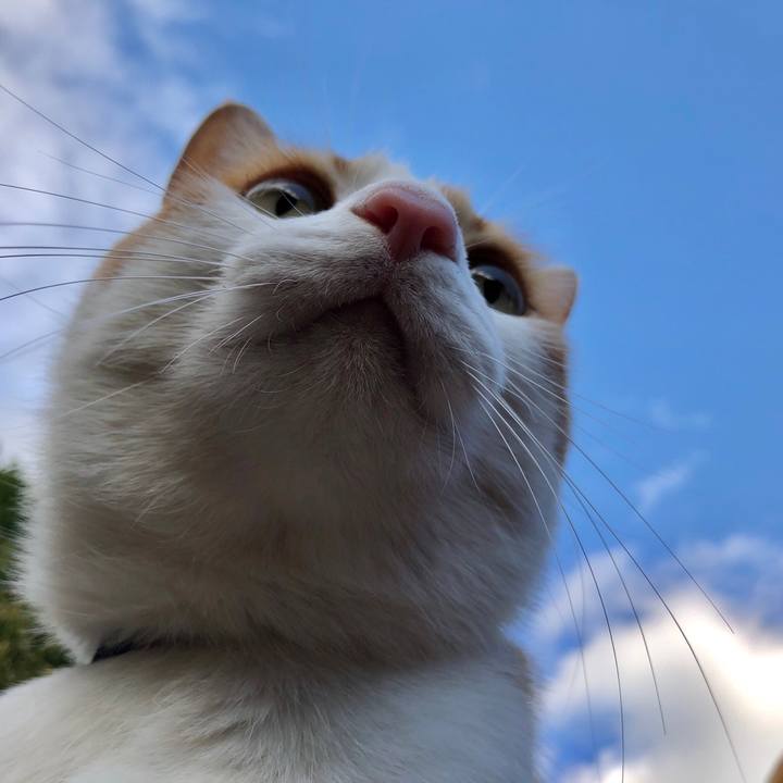 F2640c29 6501 4c69 9c98 8b478f355419 1543555170877