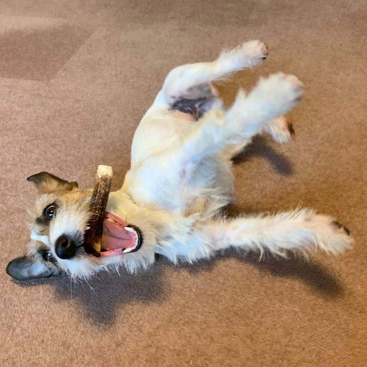 F26413ce fa94 4c24 b701 85db3531792c 1586738319360