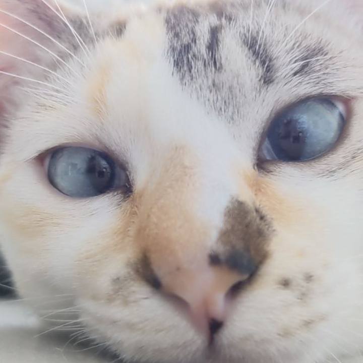 F264602a 7e89 483a 9ae4 90f25ec8249b 1711765306838