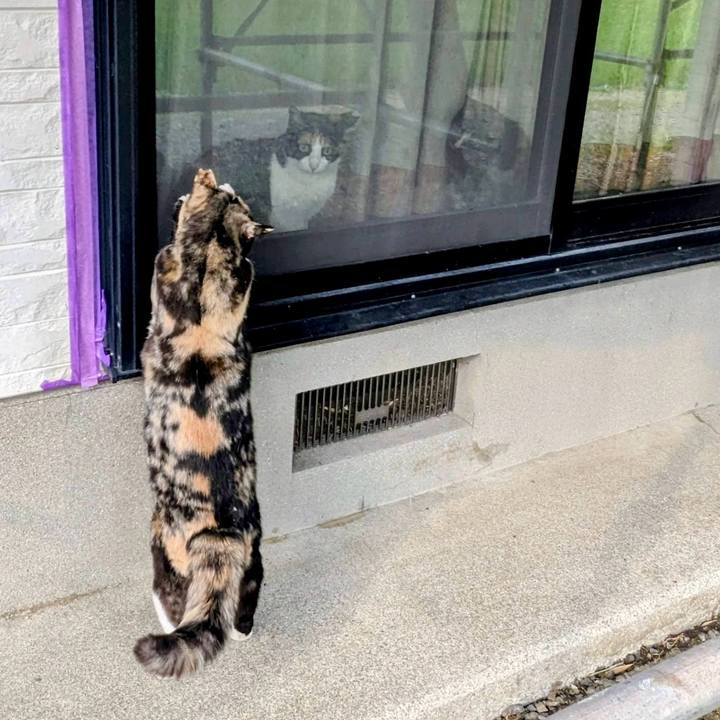 F264937a c934 48c4 8e80 ee31f7ee991e 1774882091809