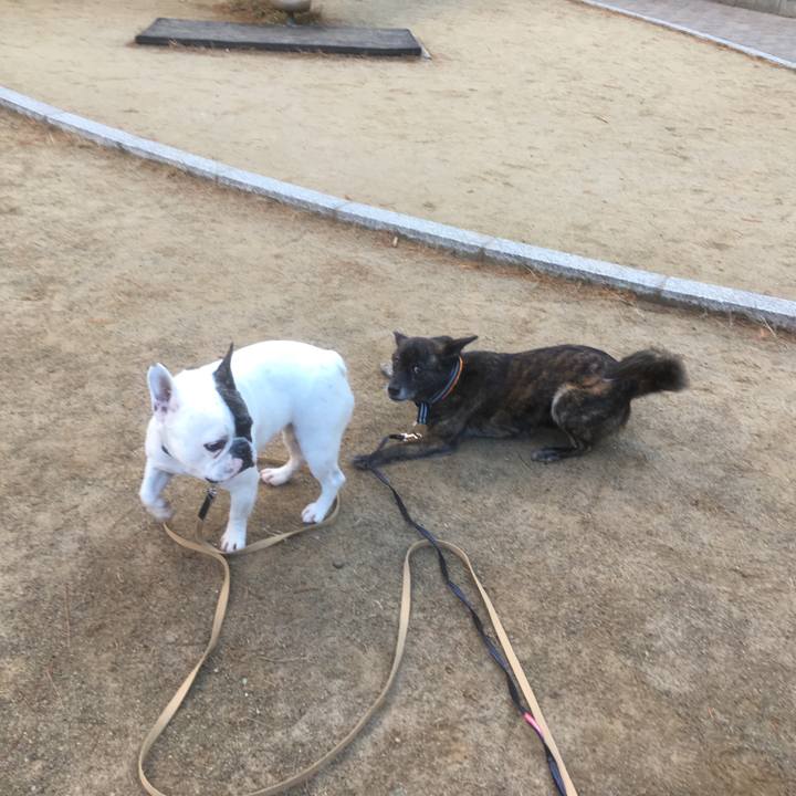 F26498bf b17b 41b2 af8f ef33c4eb006f 1546957485838