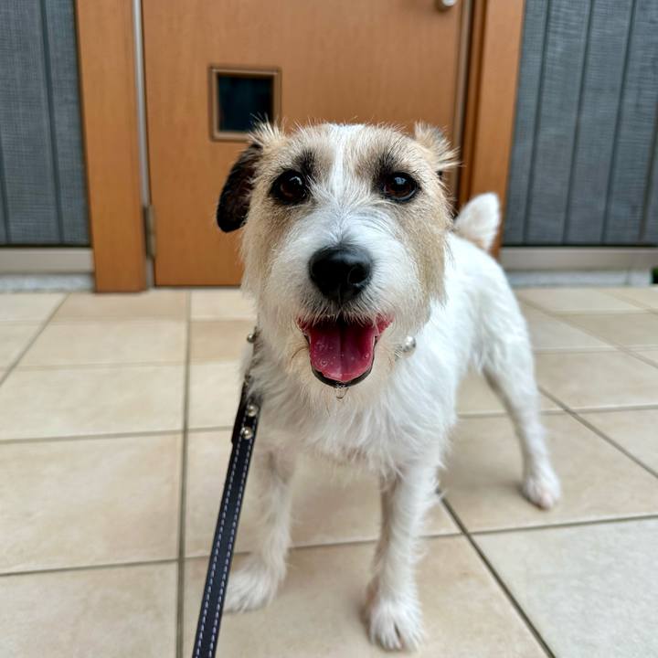 F26499b0 8791 4da7 a2c9 0b00ced3d359 1748787717228