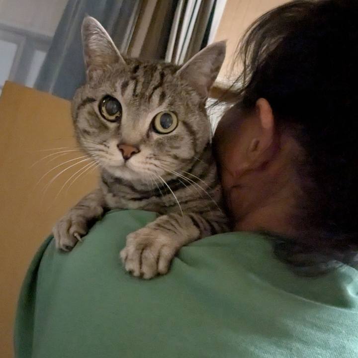 F264a075 b04b 40e1 857d f189c65e9443 1742559483797