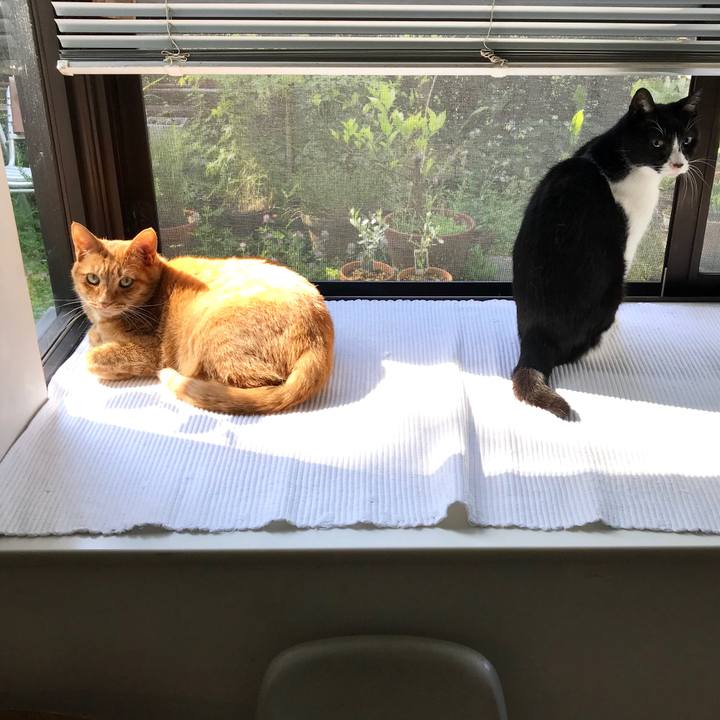 F264d64a 144f 401b a7f0 dea95205bb41 1558918233811