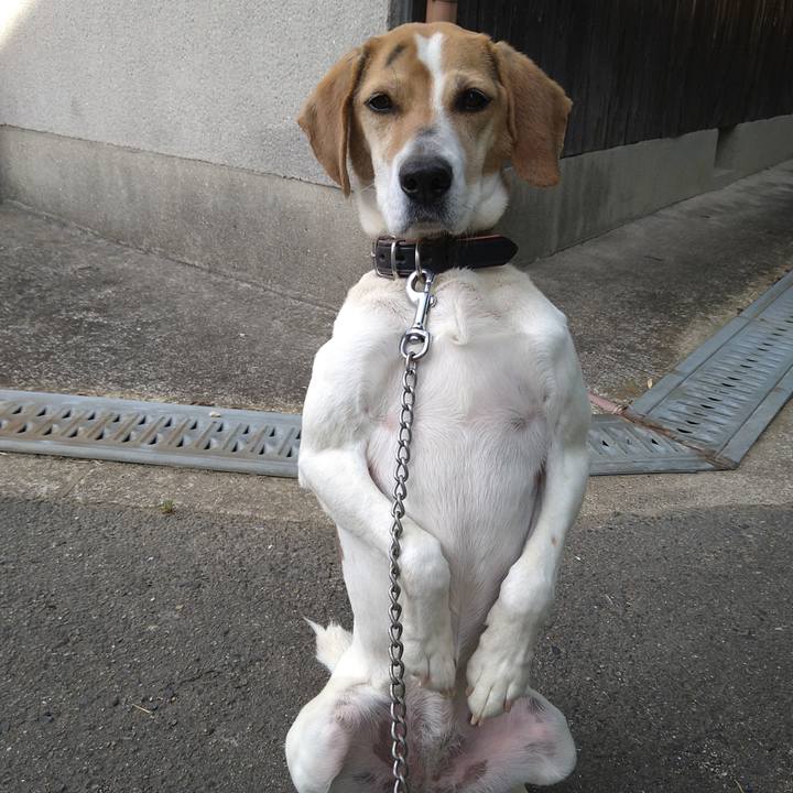 F264f1ad ad02 4b21 b847 4917b2ce90c3 1652011285663