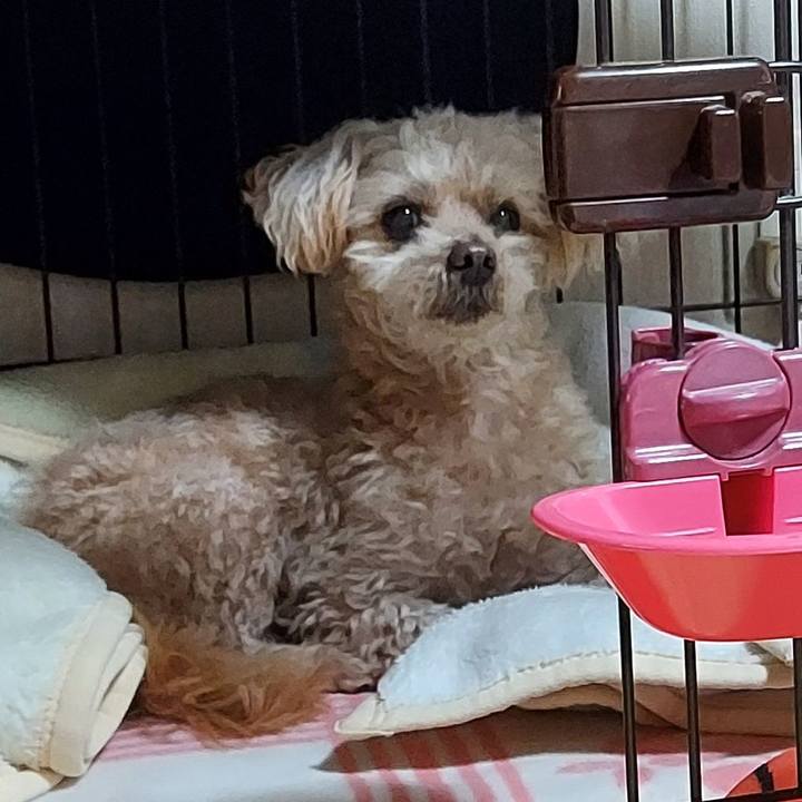 F265103a 9238 4cce 8b55 a78563a7d9f0 1738558172213