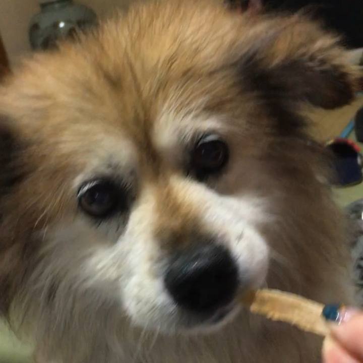 F2652944 530d 4675 a76f cfb6000eb133 1594512471449