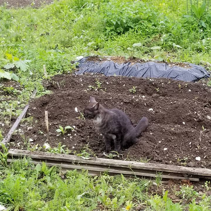 F2652d5e 184f 4717 aa0c aa5ad7ad28e6 1592913001246