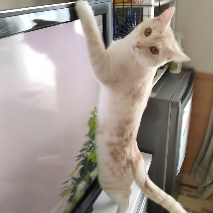 F26560fe 82f7 4bfc 93cc 704ce2b22a01 1660091243690