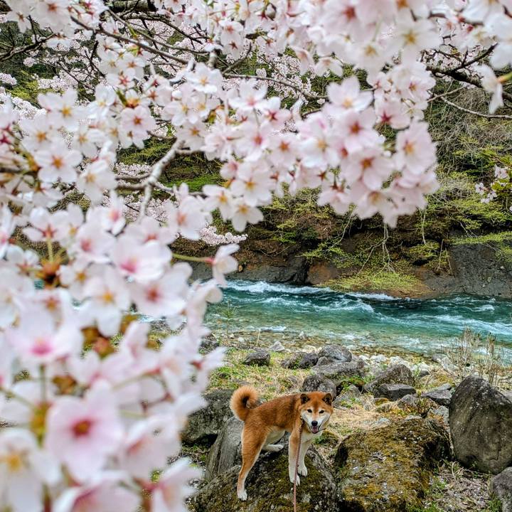 F26580f6 f772 46ff 869d 672c7ec92ac2 1745412655936