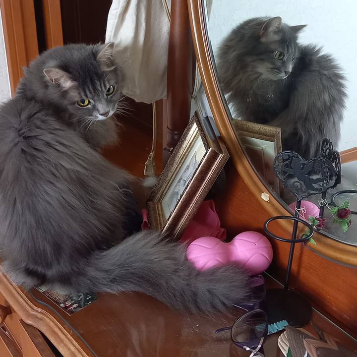 F265a9e8 9305 431a b5ee 815768513592 1624271464958