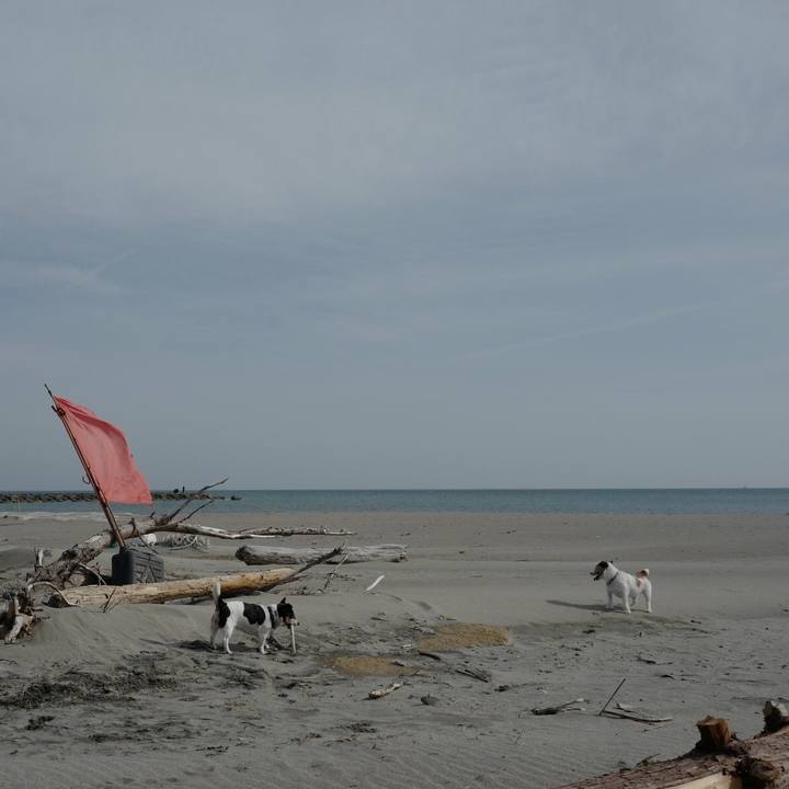 F265ce40 ad54 45e4 b428 12cc4fce4c5c 1525579645191