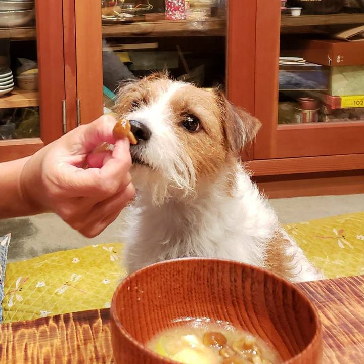 F265f04f 3942 436f 9cba 48d5f534d637 1607171991240