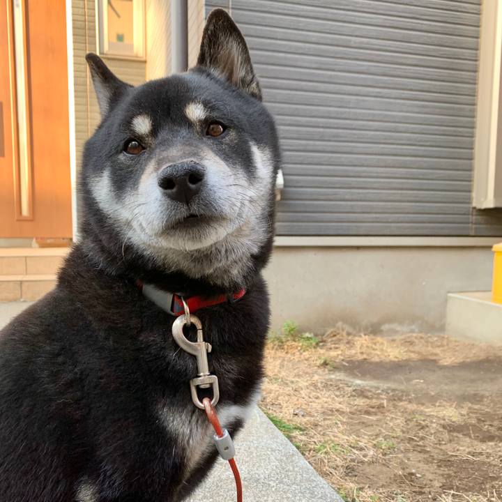 F265f0be 81c6 4669 bb43 9eba695783a3 1613125029774