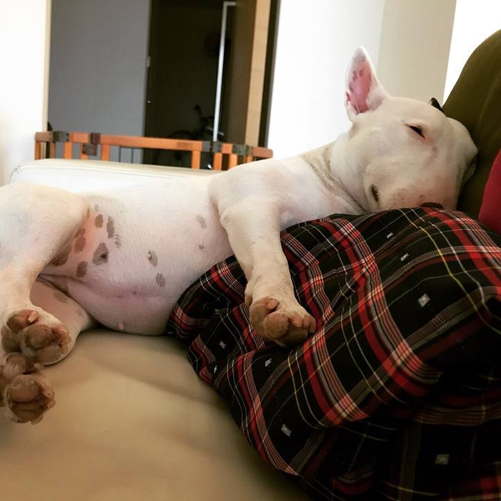 F265f0bf 18ad 4d63 a91e 52dd3e7835e3 1508926066644