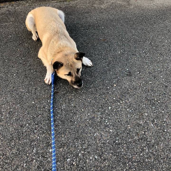 F26620e3 ca5b 4073 836c 02b581089d35 1574165198864