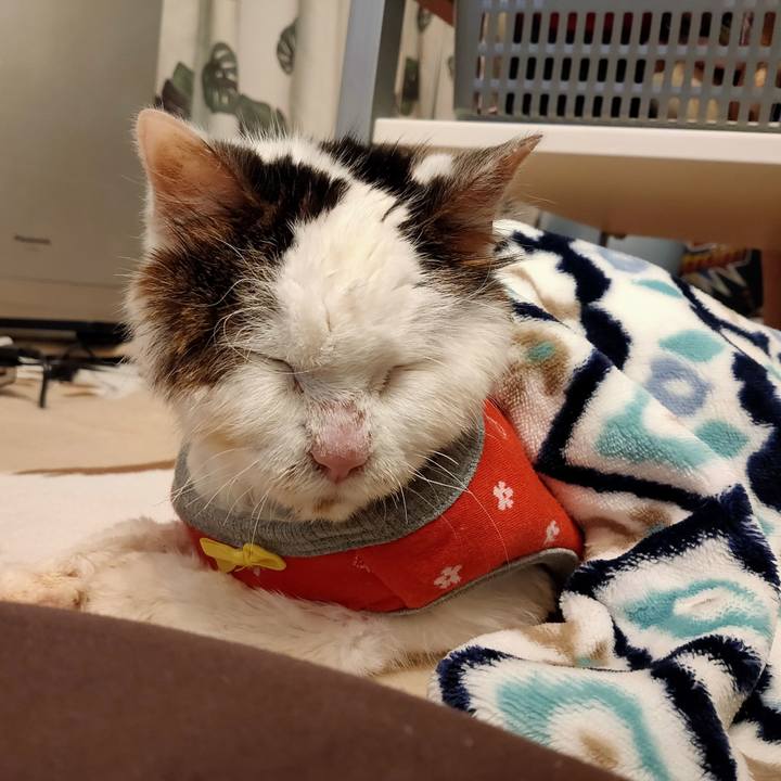 F26624d1 3d4f 40bf 8116 560e9d25f046 1609427284514