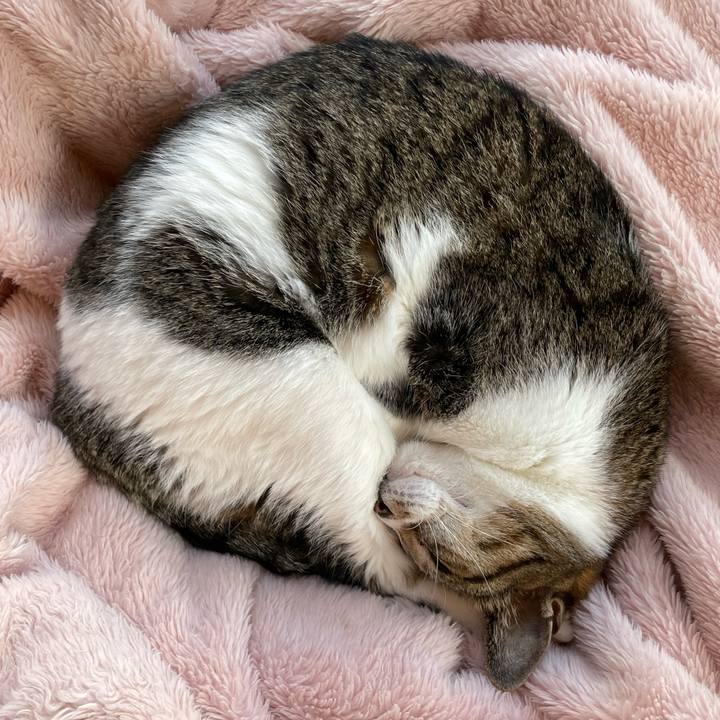 F26630f5 41d4 4634 aa9b 11dac202a0fe 1637112768644