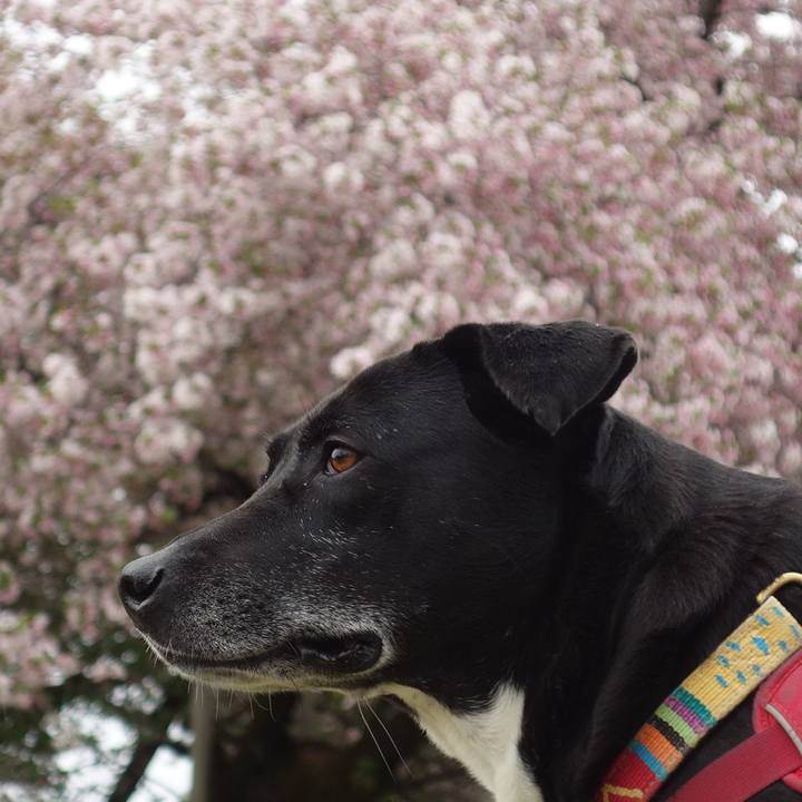 F26673e2 eb18 40e4 a519 187f70ecef2b 1680740287401