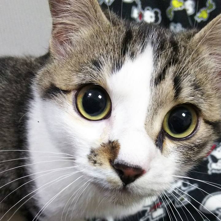 F2667eff ade4 4e5d b0e0 8ca3237f9eaa 1614938860265