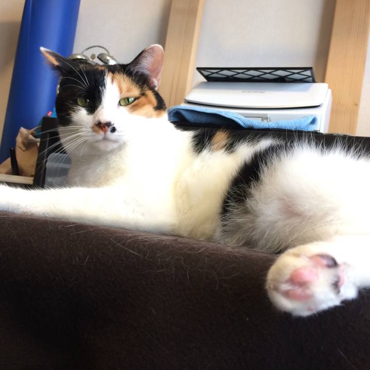 F2668ca0 67c4 4e1d a719 335922219f53 1604894277894