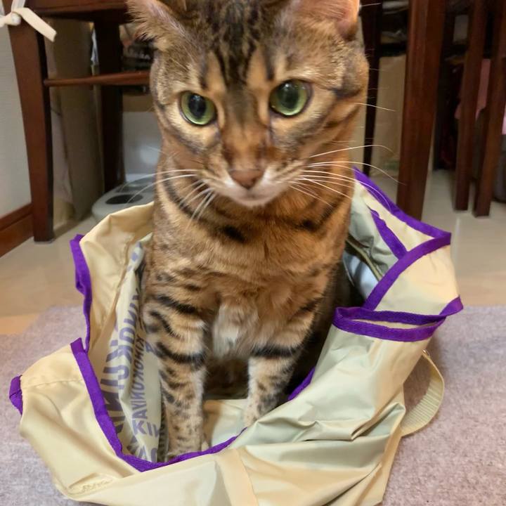 F266dd29 113f 4684 9717 a9e8984852c5 1632957164869