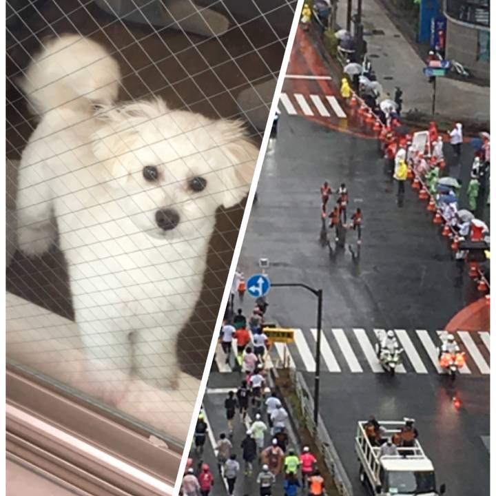 F2670d41 1027 44bc a6c3 225e16066ab6 1551617995255