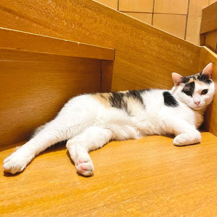 F2675795 df99 44f3 989d aea09346b23b 1657850371919